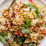 Creamy Cottage Cheese Pasta Salad